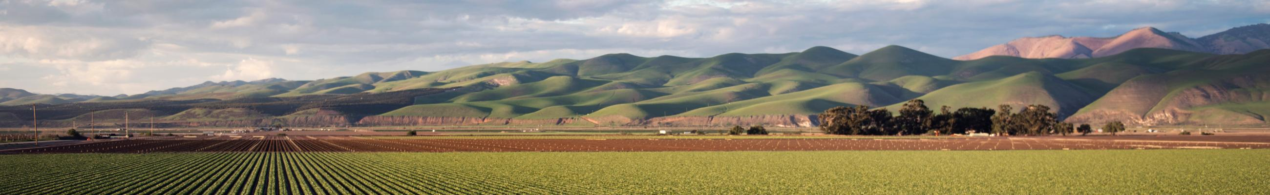 farmland